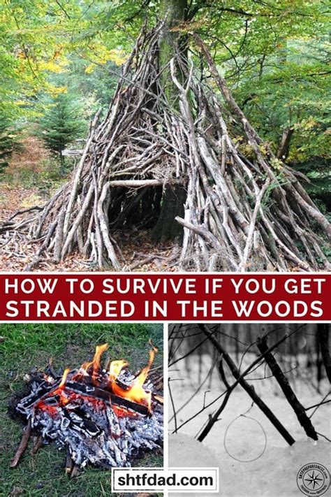 how to survive if you get stranded in the woods pin survival supplies survival food homestead