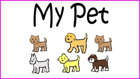 Educational Video My Pet Cat And Dog Youtube