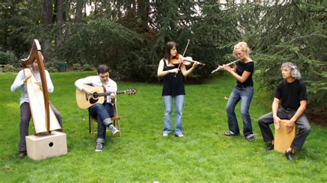 Irish Traditional Music Want To Dance Celtic Ireland With Violin