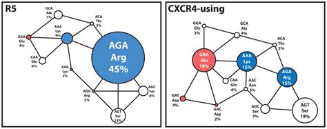 Nucleotide codon usage of R5 and CXCR4-using B-HIV Envs at ...