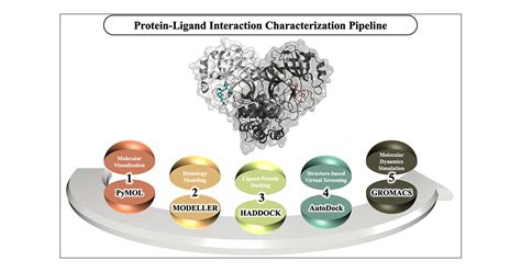 In Silico End To End Proteinligand Interaction Characterization