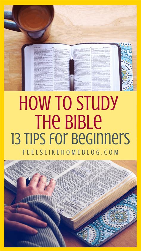 How To Study The Bible Tips Ideas For Beginners And Experienced