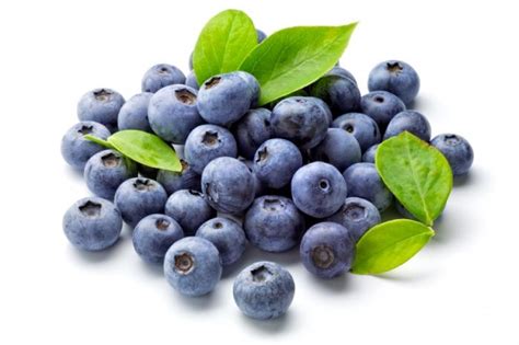 Frozen Wild Blueberries 15x450g Debriar