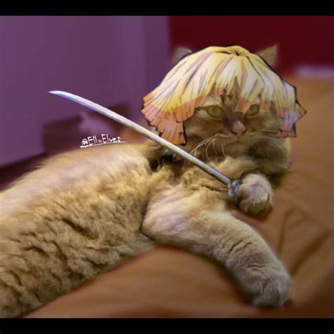 Ive Seen Some People Turning Their Cats Into Demon Slayer Characters So