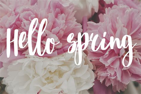 Hello Spring Concordia Group Delivers