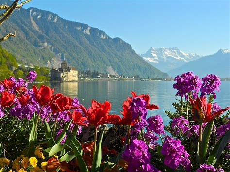Maybe you would like to learn more about one of these? Lake Geneva, Switzerland | Voy