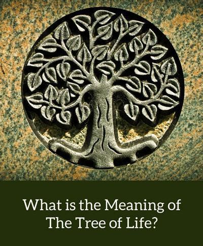 THE MEANING OF THE TREE OF LIFE (2019)