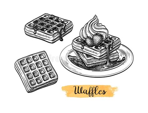 Ink Sketch Of Waffle Stock Vector Illustration Of Gastronomy 156273757