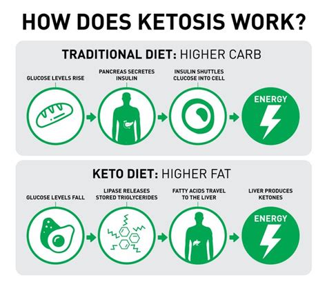 Pin On Keto Diet For Beginners