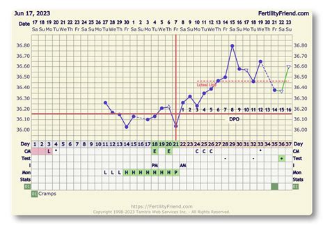 First time temping and I am so confused : r/TFABChartStalkers