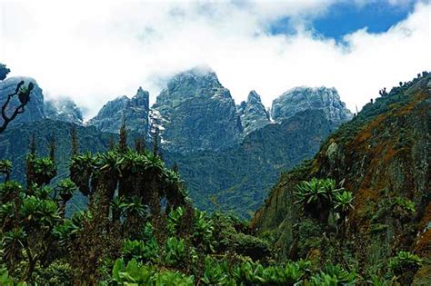 Rwenzori Glaciers Of The Mountains Of The Moon