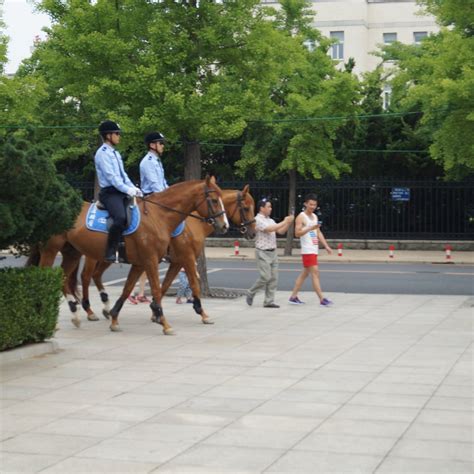 Dalian Mounted Policewoman Base All You Need To Know Before You Go