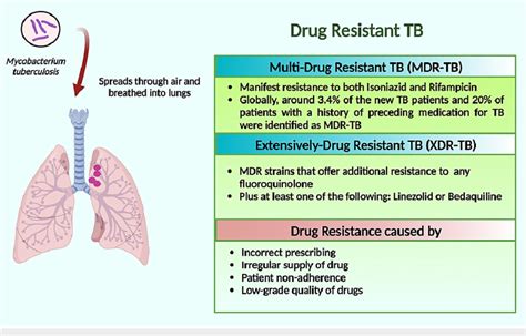 schematic presentation of multidrug resistant tb and extensively download scientific diagram