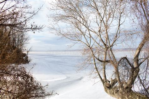 Frozen Lake And Trees Stock Image Image Of Sunlight 86457231