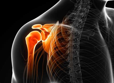 Rotator Cuff Surgery Shoulder Surgeon Santa Barbara Santa Maria