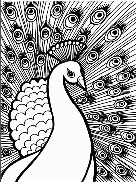 Get online coloring pages for kids. Free Printable Peacock Coloring Pages For Kids