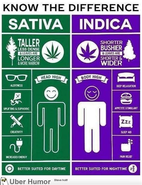 Sativa Vs Indica Know The Difference Funny Pictures Quotes Pics