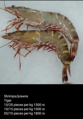 Prawns Shrimps For Price Click On Image At Best Price In Mumbai Id