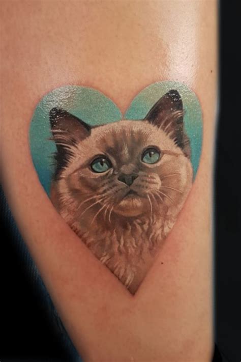 15 Best Realistic Cat Tattoo Designs Kulturaupice