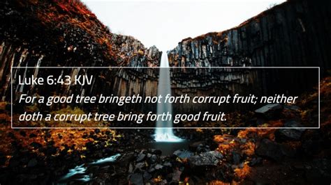 Luke 643 Kjv 4k Wallpaper For A Good Tree Bringeth Not Forth Corrupt