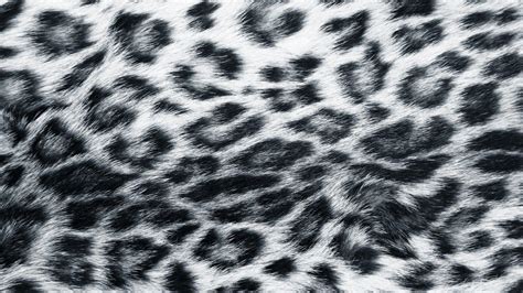 Snow Leopard Print Wallpapers Top Free Snow Leopard Print Backgrounds Wallpaperaccess