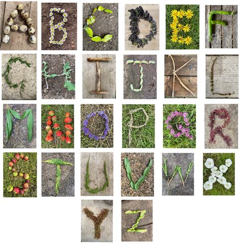 Nature Alphabet Cards Printable Digital Download Natural Early Etsy