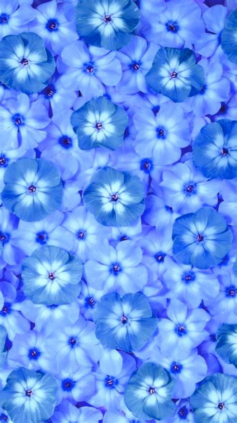 Hydrangea Wallpaper Blue Floral Wallpaper Flower Iphone Wallpaper