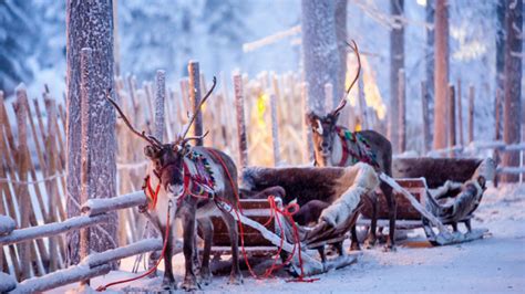Beleef De Winter In Lapland Pakken Sneeuw En Unieke Ervaringen