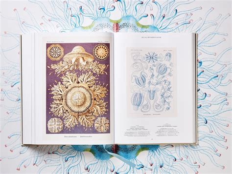 The Art And Science Of Ernst Haeckel Libros Taschen