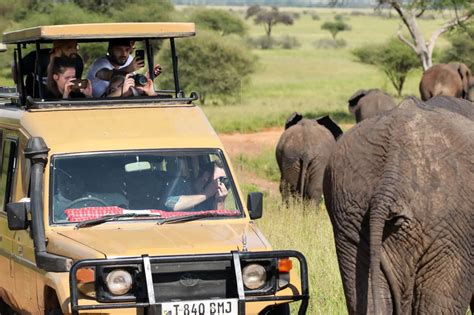 6 Of The Best African Safari Destinations David Geithner
