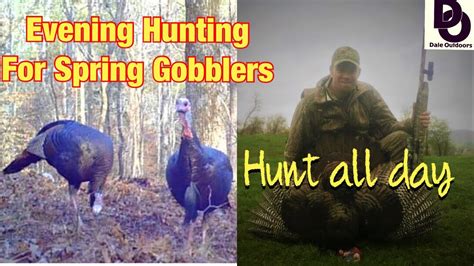 Evening Hunting For SPRING GOBBLERS Hunt ALL DAY YouTube
