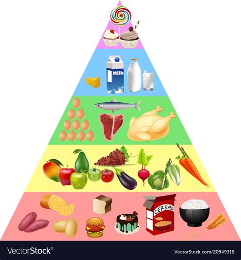 The food guide pyramid emphasized the importance of eating a balanced, varied diet by depicting five main food groups: Food pyramid chart Royalty Free Vector Image - VectorStock