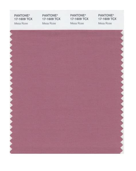 Pantone Smart Swatch 17 1140 Marmalade Painting Supplies And Wall