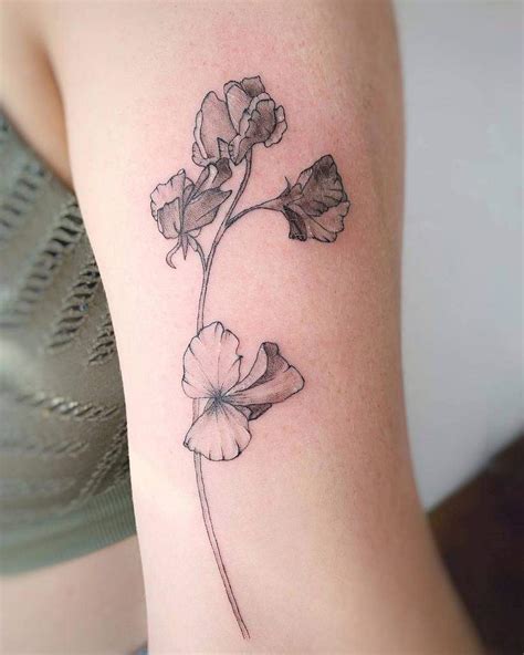 Top 57 Ravishing Pea Flower Tattoo Designs For You Amazing Xanh