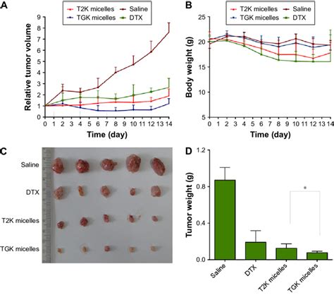 The Antitumor Efficacy Against Subcutaneous Tumor Bearing Nude Mice
