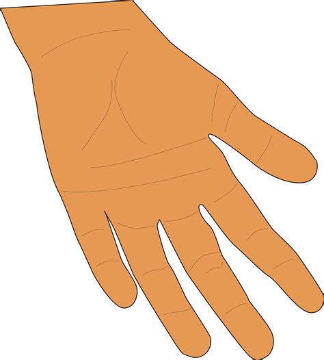 Hand Palm Fingers Human Skin Png Picpng