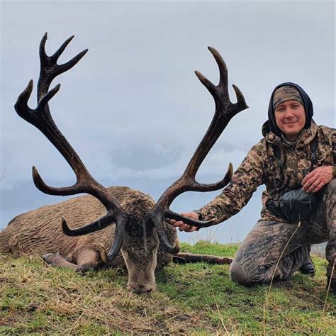 New Zealand Red Stag Epic Hunts Guaranteed Opportunities