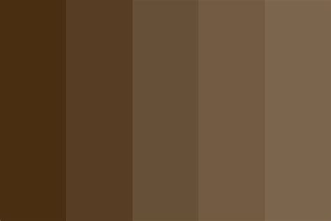 Chocolate Brown Color Palette