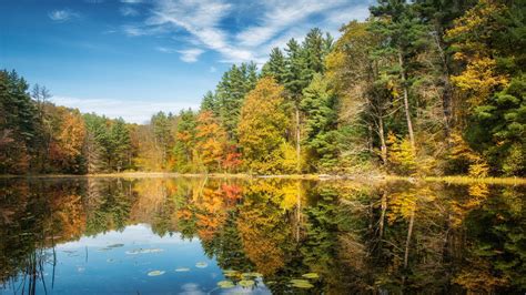 Download Wallpaper 1600x900 Lake Forest Autumn Trees Reflection