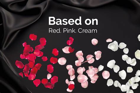 21 Rose Petal Photoshop Overlays, Rose petal, Red rose petals, Pink rose petals, White rose 
