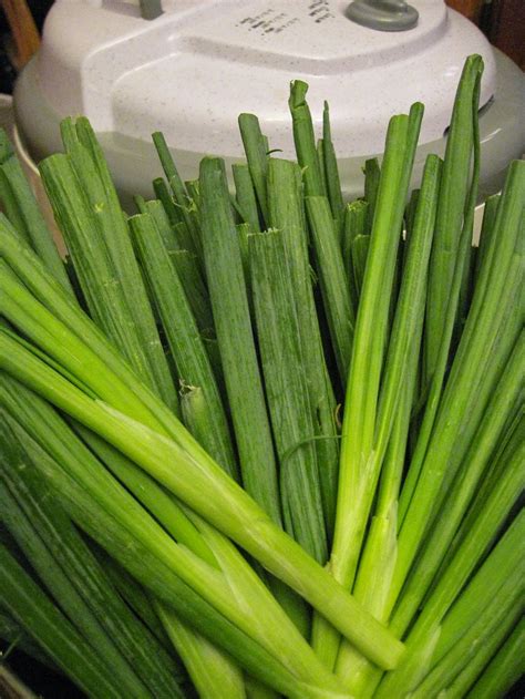 What's the malay word for onions? A Slice of Texas blog : DEHYDRATED GREEN ONIONS