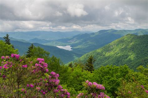 Get growing when you shop the home depot garden center for garden supplies, flowers and more. Meanderthals | Craggy Gardens, Blue Ridge Parkway