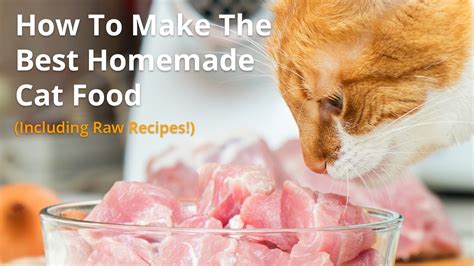 You'll know exactly what is going into your cat's species appropriate diet. Best Homemade Cat Food Recipes | Raw or Cooked, Make Your Own!
