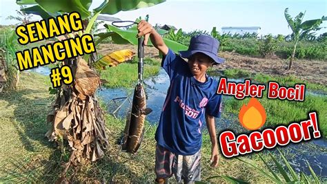 Angler Bocil Gacooorrr Senang Mancing 9 Youtube