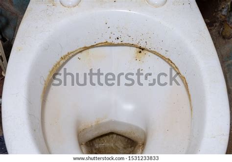 Unwashed Public Toilet Dirty Toilet Bowl Stock Photo 1531233833