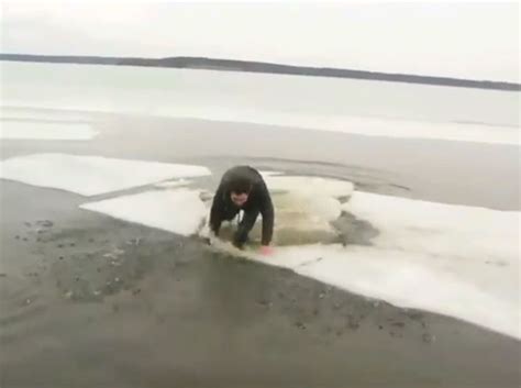 Viral Video Shows A Man Fall Through A Huge Sheet Of Ice Travel News Travel Uk