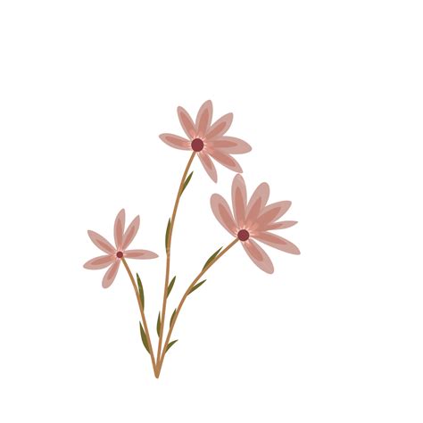 Aesthetic Flowers Png Isolated Image Png Png Images I