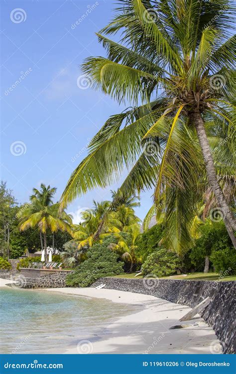 Beautiful Tropical Beach Coconut Palm Tree And Blue Sea Water In