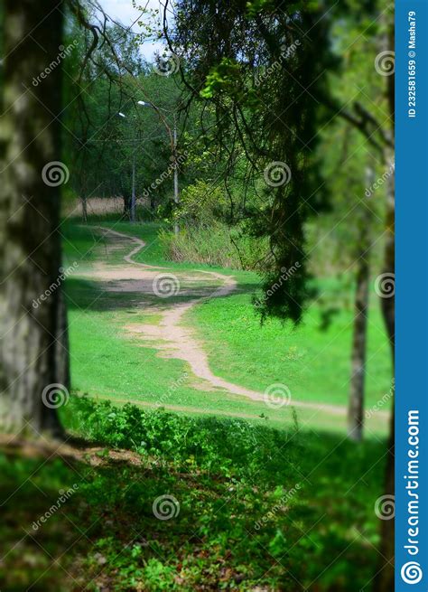 Curved Path In The Park In Springtime Stock Image Image Of Natural