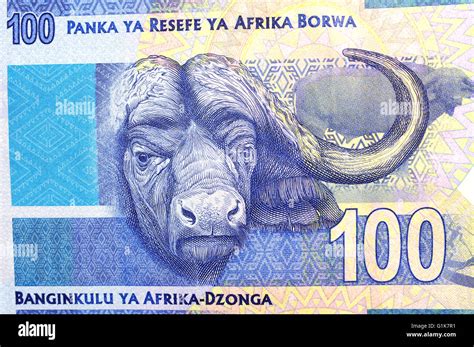A Close View Of The Back Of A 100 Rand Note From South Africa Stock